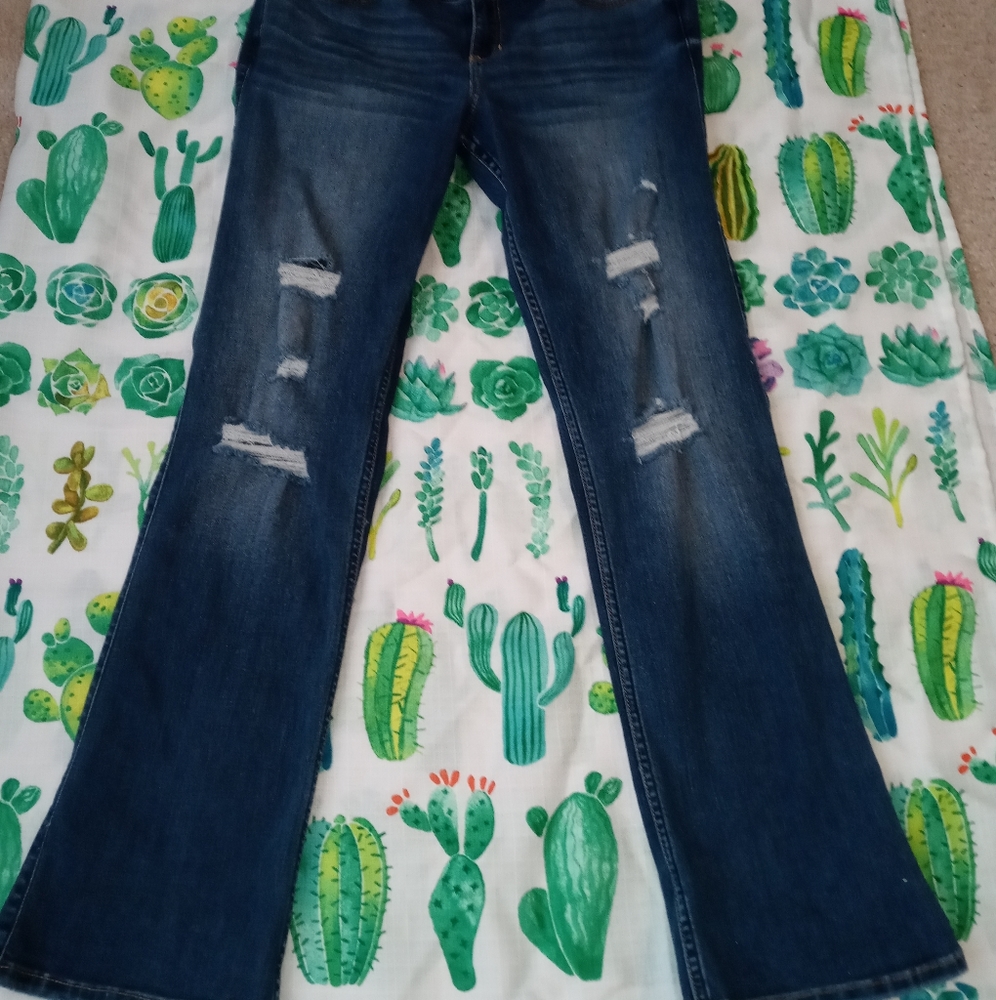 Hollister Low Rise Boot Jean